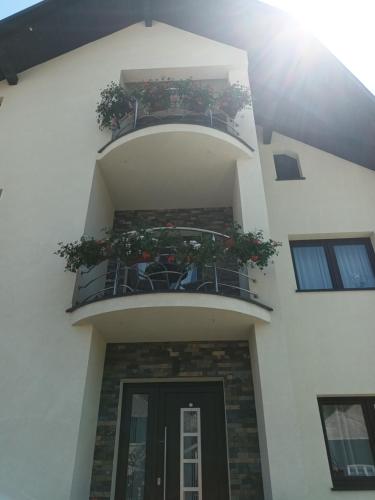 Quo Vadis - carbon neutral hotel in Grou