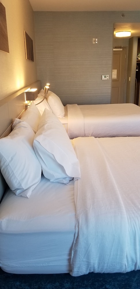Hilton Garden Inn Colorado Springs Downtown - photo 15