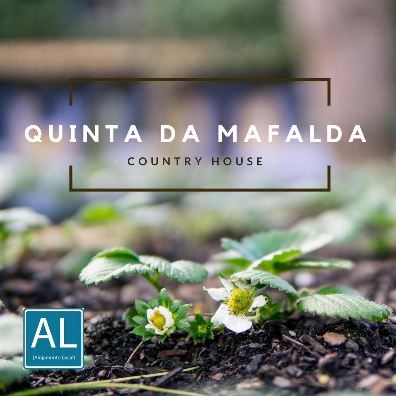 Quinta Da Mafalda — hotel in Mira