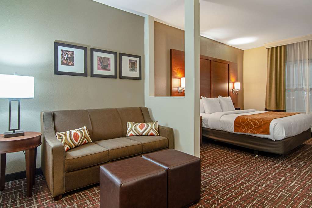 Comfort Suites NW Dallas Near Love Field - photo 15