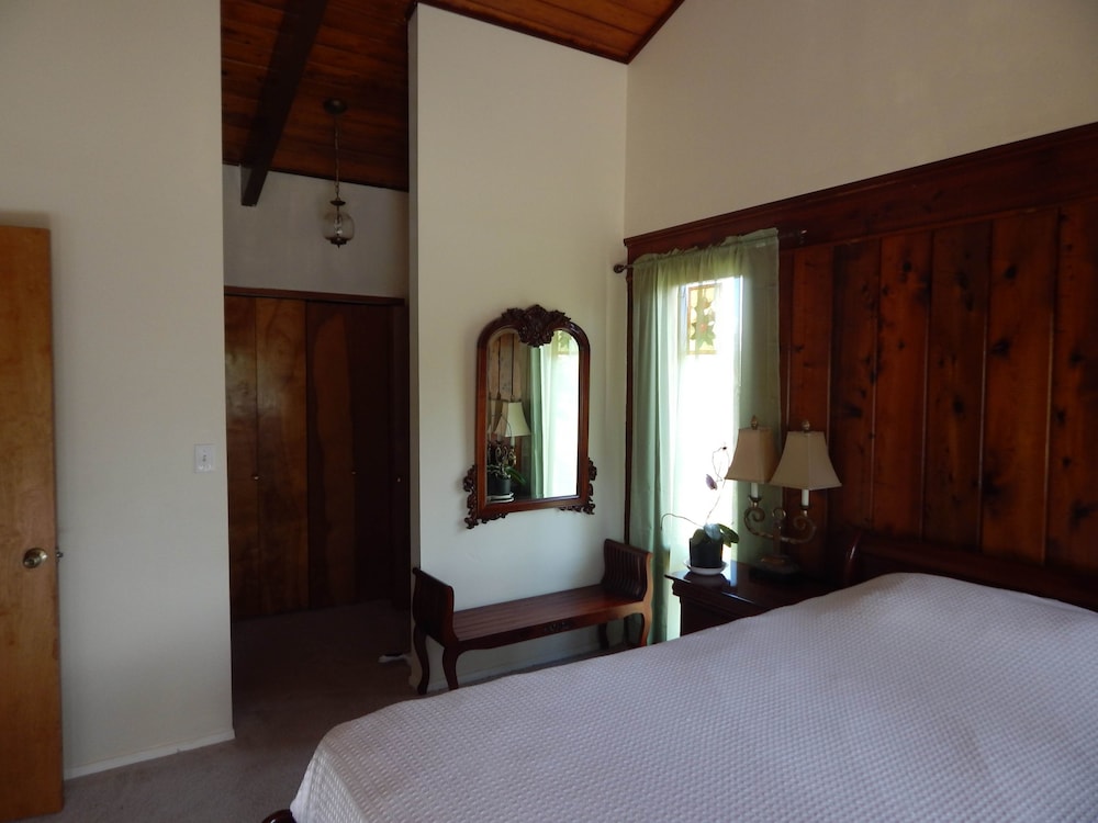 Fern Forest Getaway - photo 7