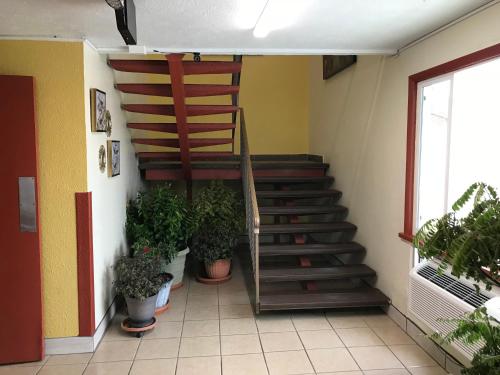 Quest Inn Motel - photo 22