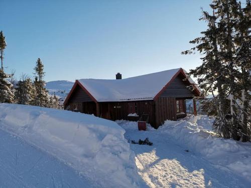 Høyfjellshytte in Fla, Norway