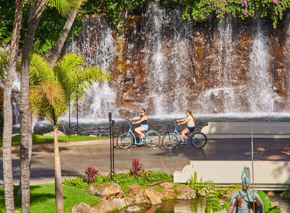 Grand Wailea Resort Hotel & Spa A Waldorf Astoria Resort - photo 151