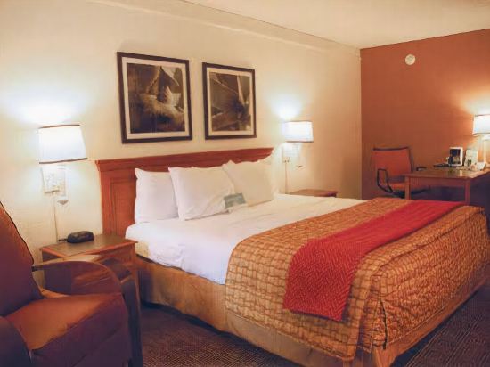 La Quinta Inn Houston Wilcrest - photo 19