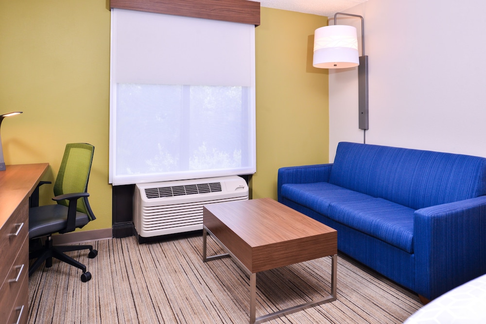 Holiday Inn Express Hotel & Suites Tampa Anderson Rd Veteran by IHG - photo 6