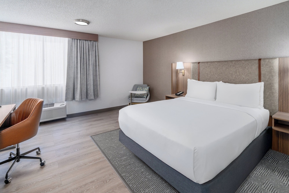 Holiday Inn Dublin Pleasanton by IHG - photo 6