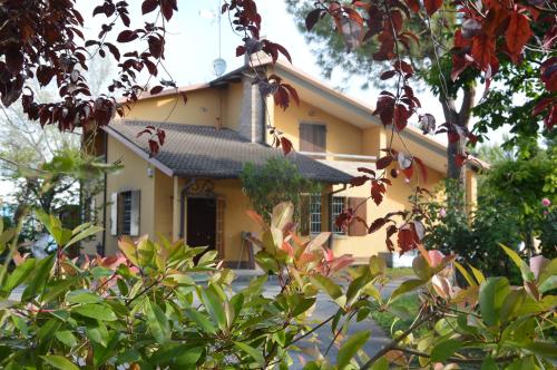 Pidkova in Modena, Italy