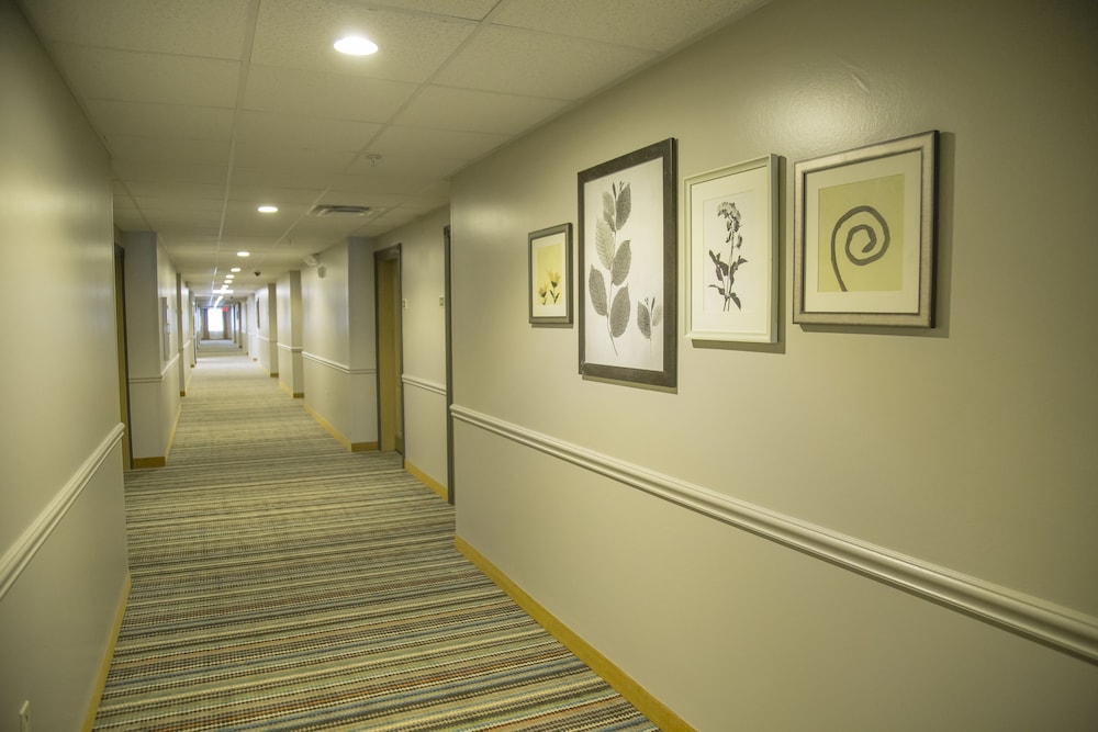 Seffner Inn and Suites - photo 49
