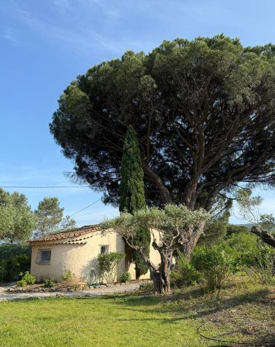 Le mazet du grand pin in Cogolin, France