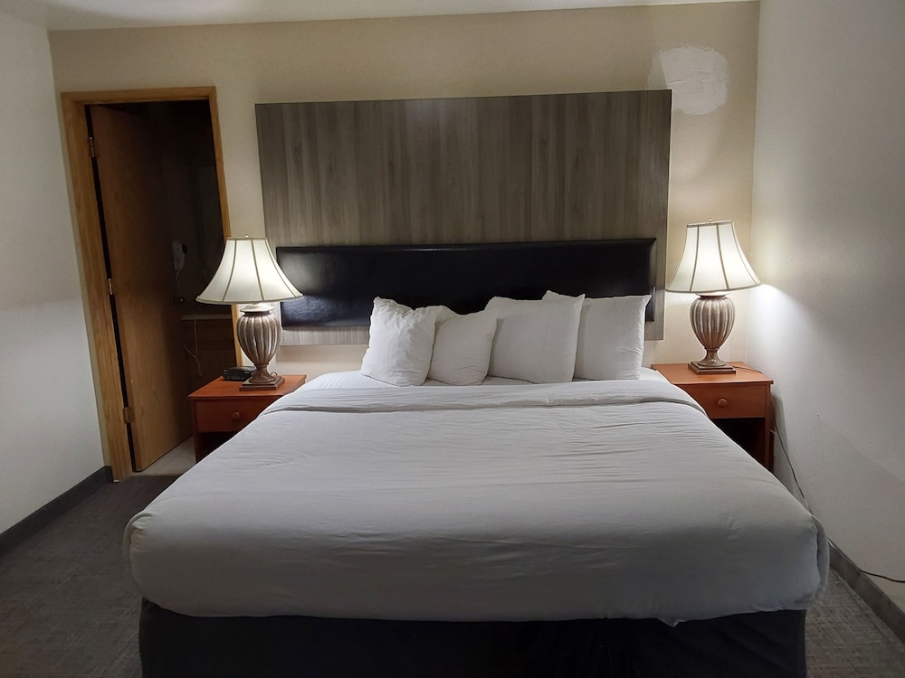 Lavissh Inn & Suites - photo 8