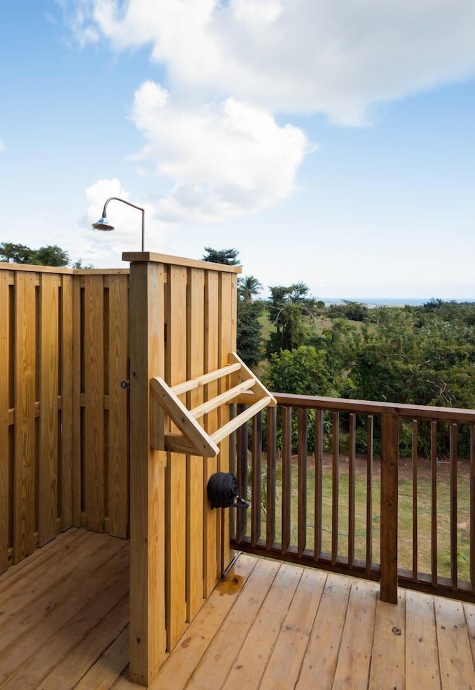 Finca Victoria - photo 111