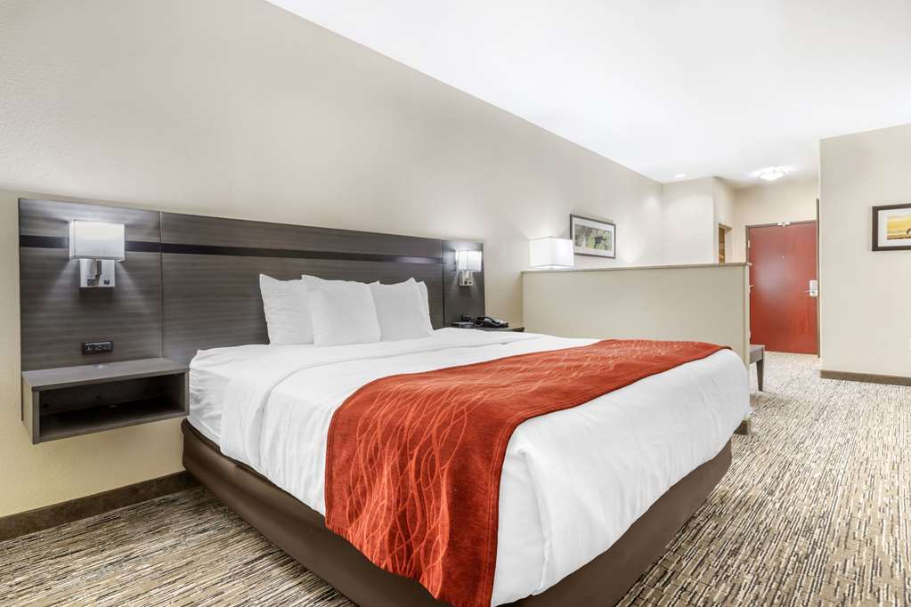 Comfort Inn Orange I 10 - photo 21