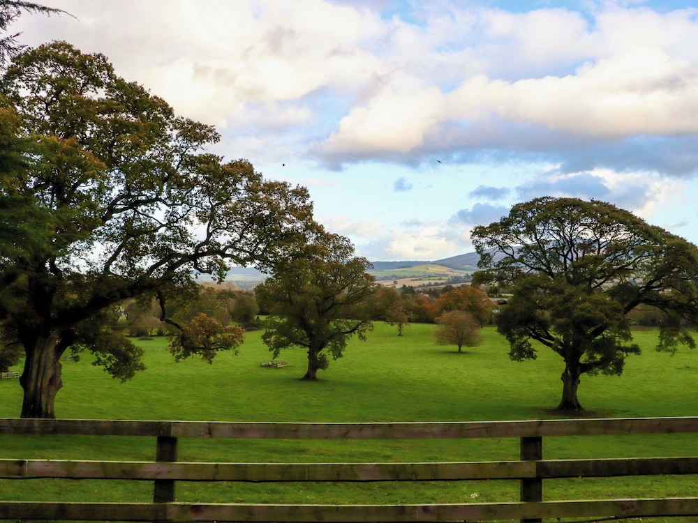 Ballybeg Pod 6