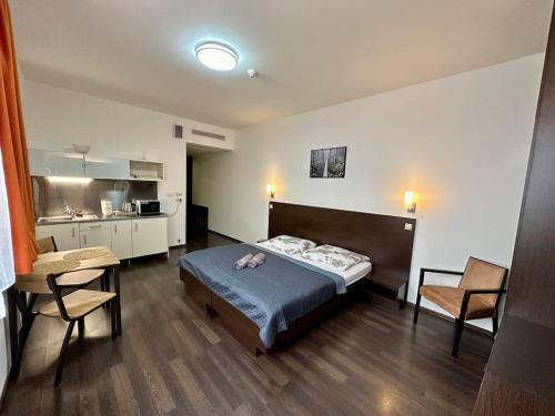 Apartmán priamo na hlavnej ulici — 4-Star Luxury Hotel in Kosice, Slovakia