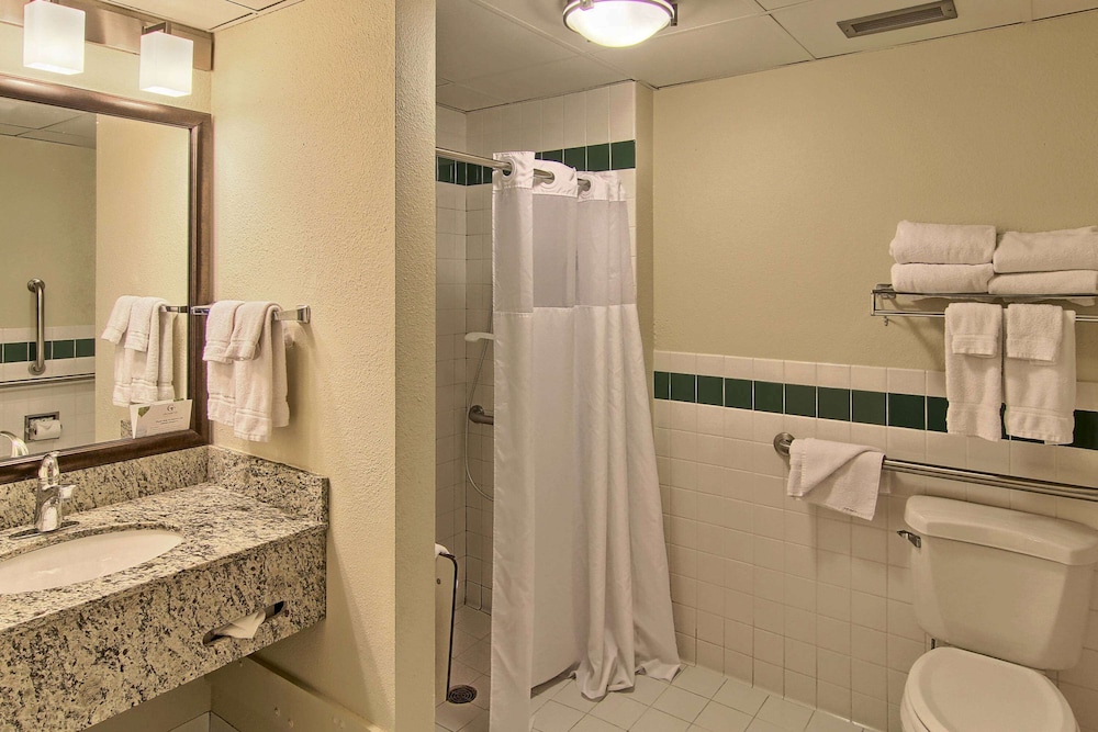 Blossom Hotel & Suites Traverse City - photo 35