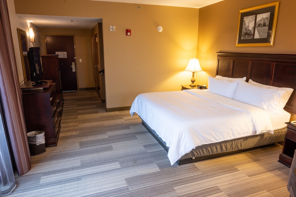 Holiday Inn Express and Suites Tuscaloosa University an IHG Hotel - photo 10