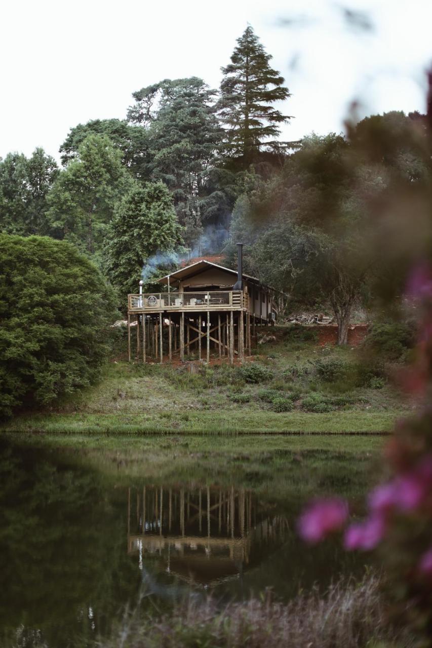AfriCamps Magoebaskloof in Tzaneen, South Africa