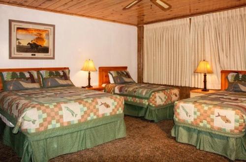 June Lake Motel - photo 7