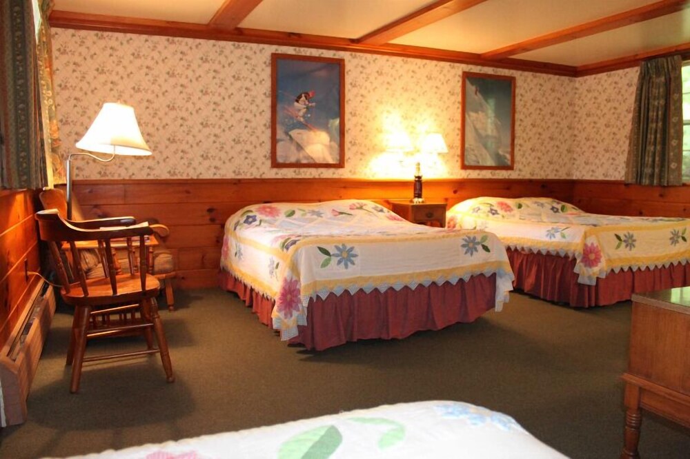 White Trellis Motel - photo 7