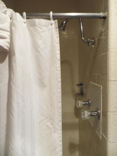 Alamo Inn - photo 26