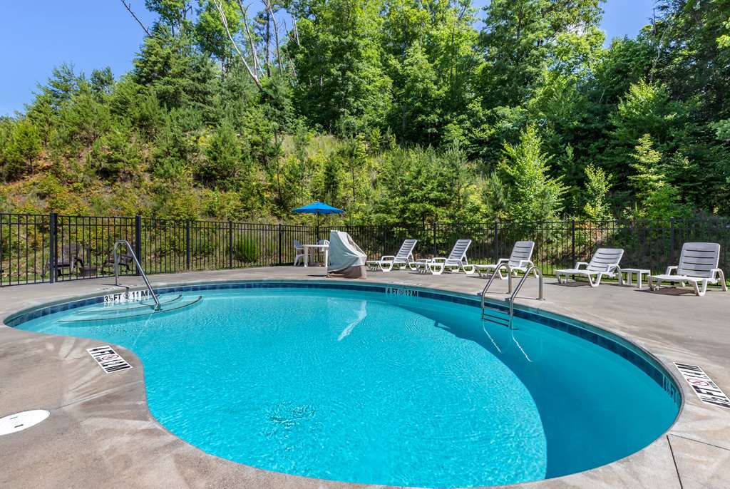Microtel Inn & Suites By Wyndham Sylva Dillsboro Area - photo 9