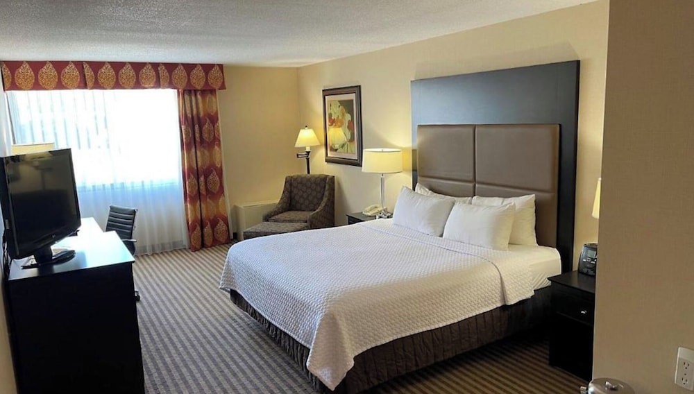 Reading Vitality Hotel - photo 2