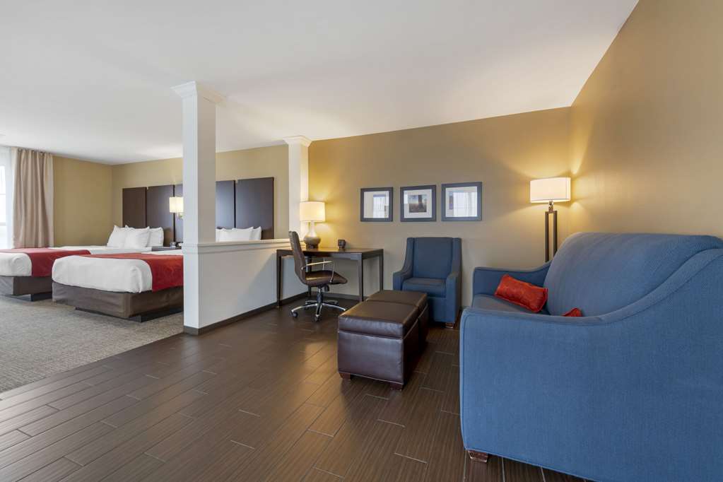 Comfort Suites and Conference Center - photo 21