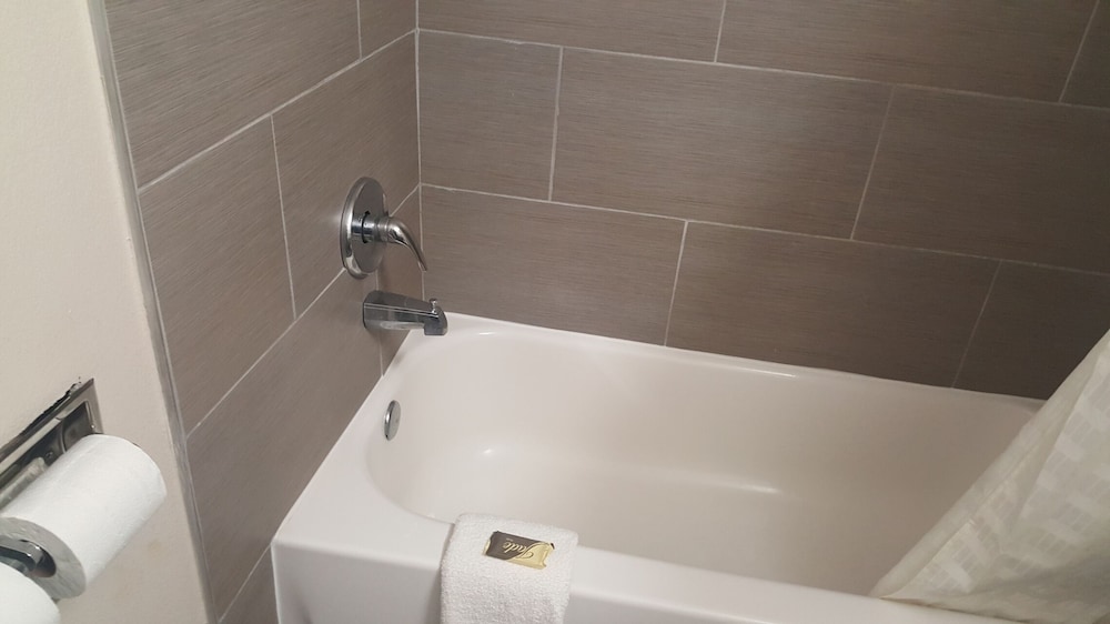 Baymont by Wyndham Pensacola - photo 11