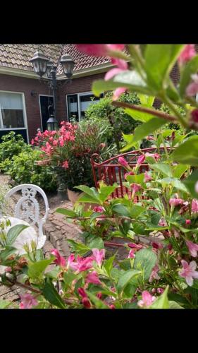 Huize Belle Fleur - last minute hotel in Unknown City