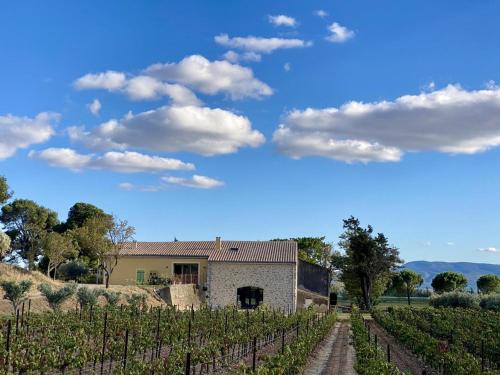 Domaine Saint Antoine in Rieux-Minervois, France