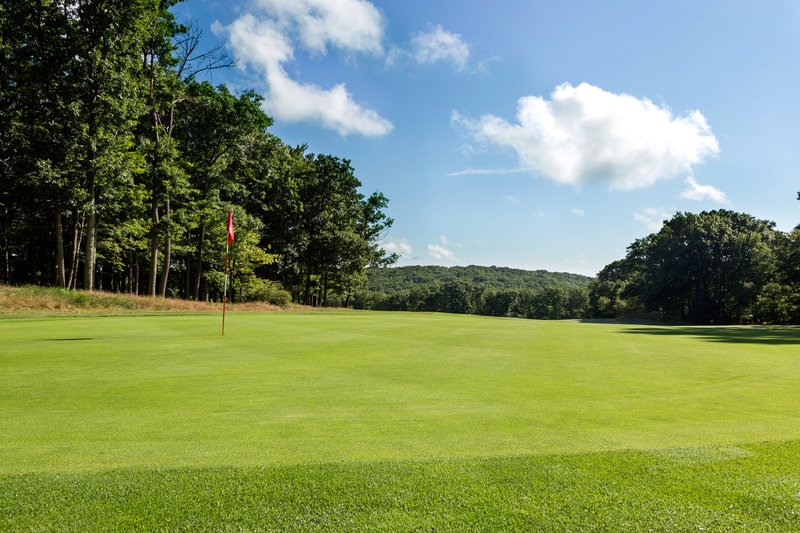 Pocono Manor Resort and Spa - photo 19