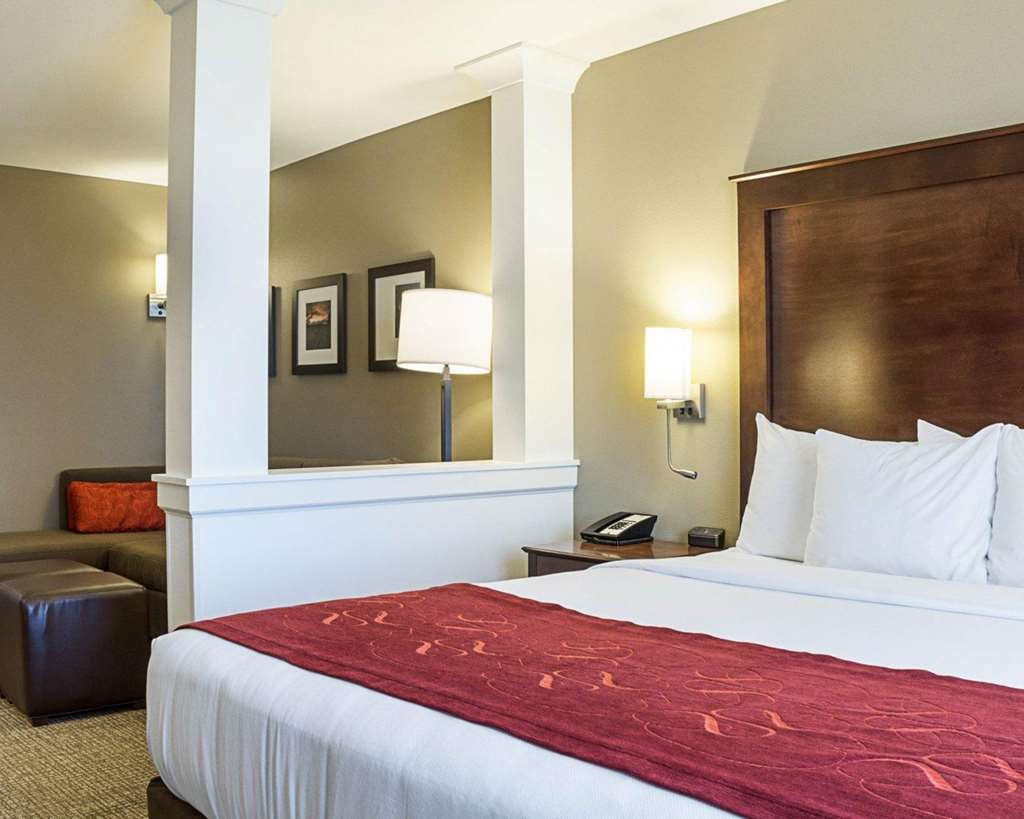 Comfort Suites Fargo Medical Center - photo 12