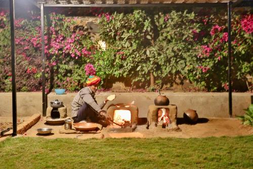 Meladin Sariska — Alwar — photo 4
