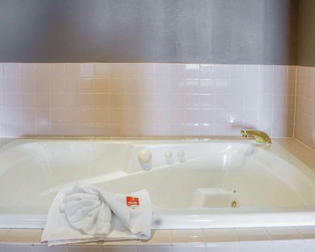 Econo Lodge Ames Area - photo 25