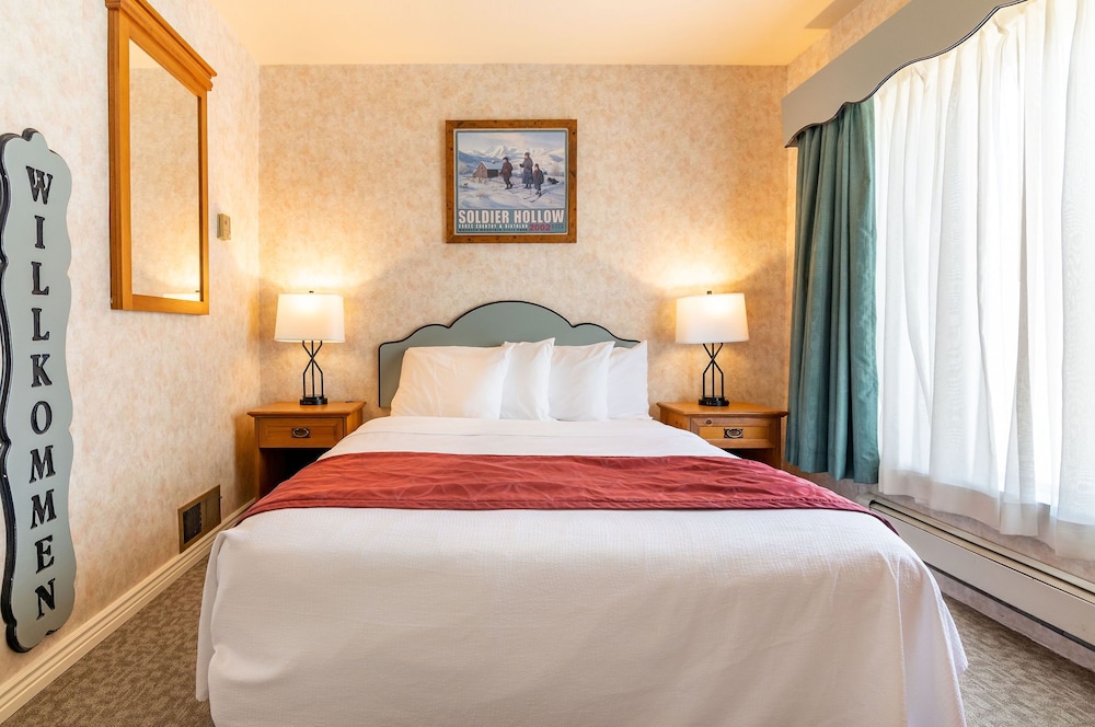 Swiss Alps Inn - photo 25