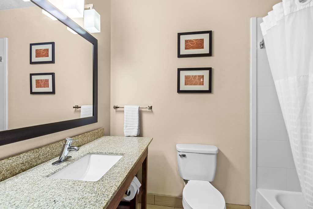 Comfort Suites Vincennes - photo 24
