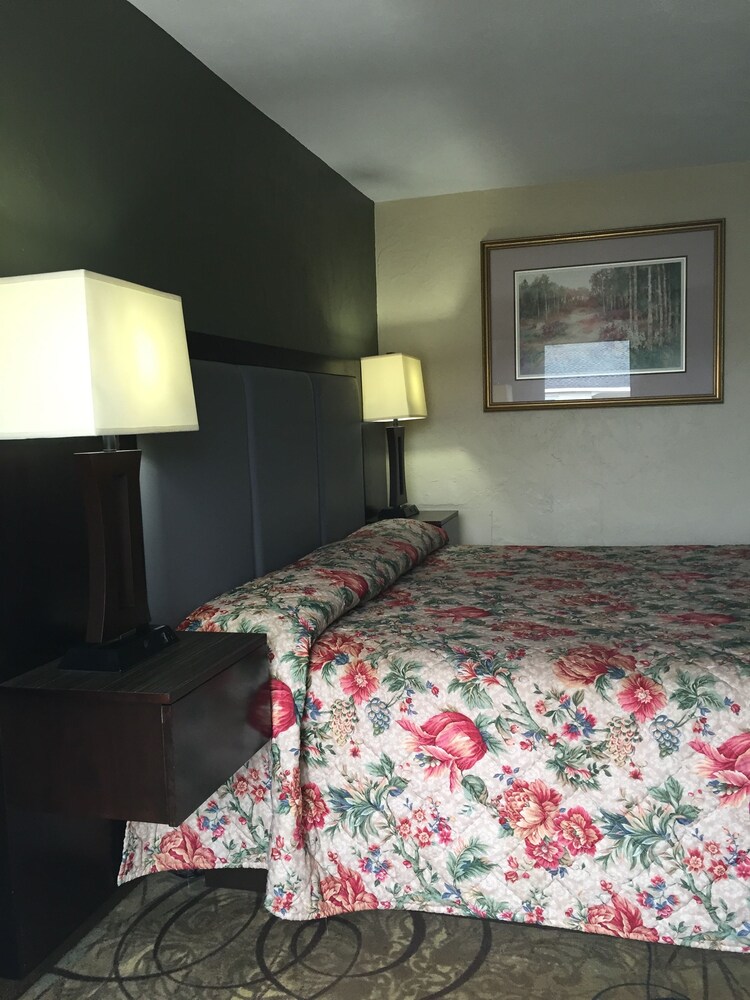 Track & Turf Motel - photo 3