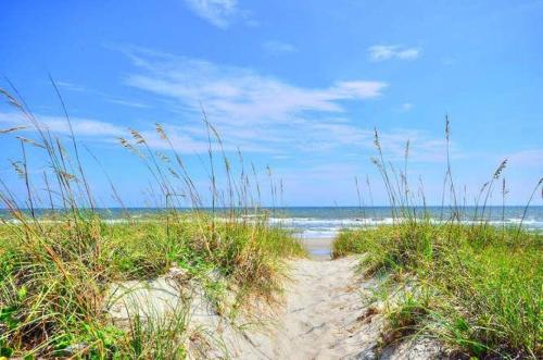 A Paradise Found - photo 38