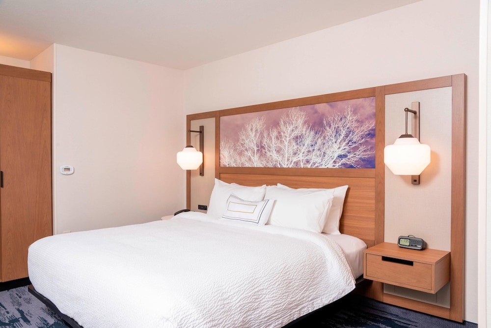Fairfield Inn & Suites by Marriott Fair Oaks Farms - photo 22