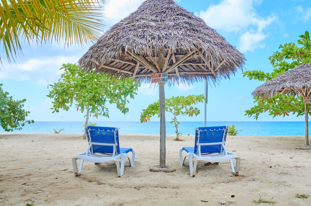 The Yellow Bird in Negril, Jamaica
