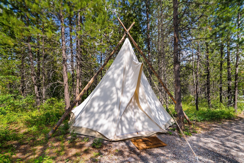 Under Canvas Glacier - photo 11