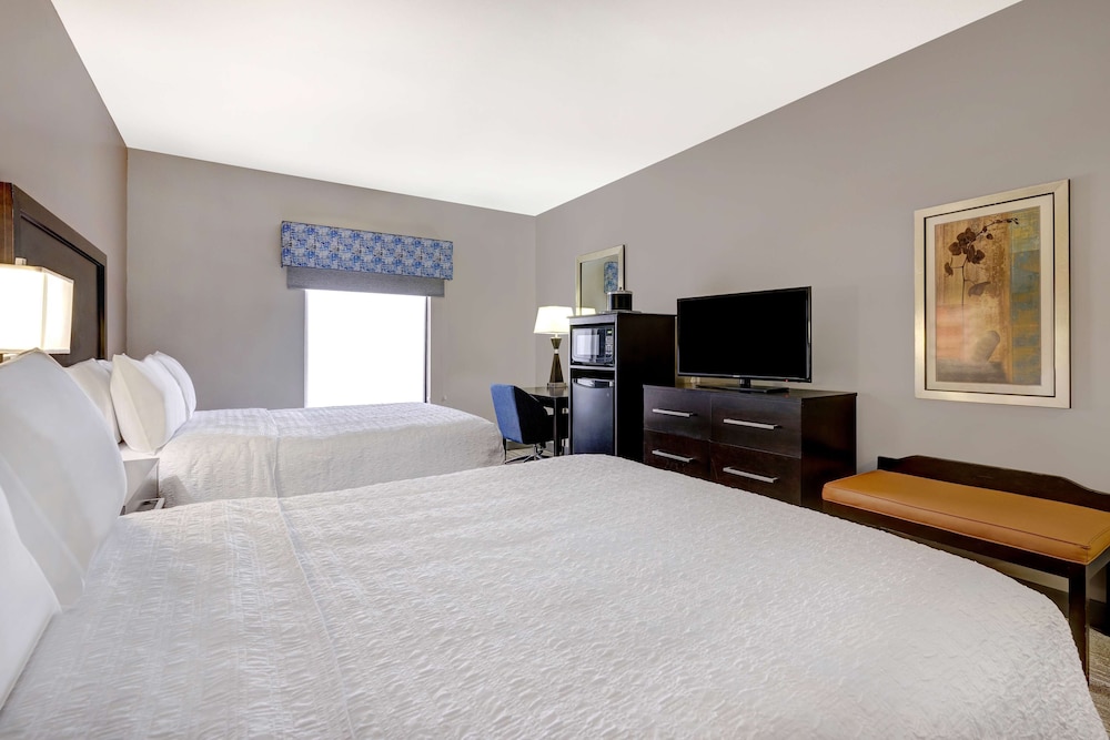 Hampton Inn & Suites Tampa Northwest Oldsmar - photo 9