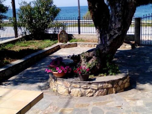 Aegialis in Thasos, Greece