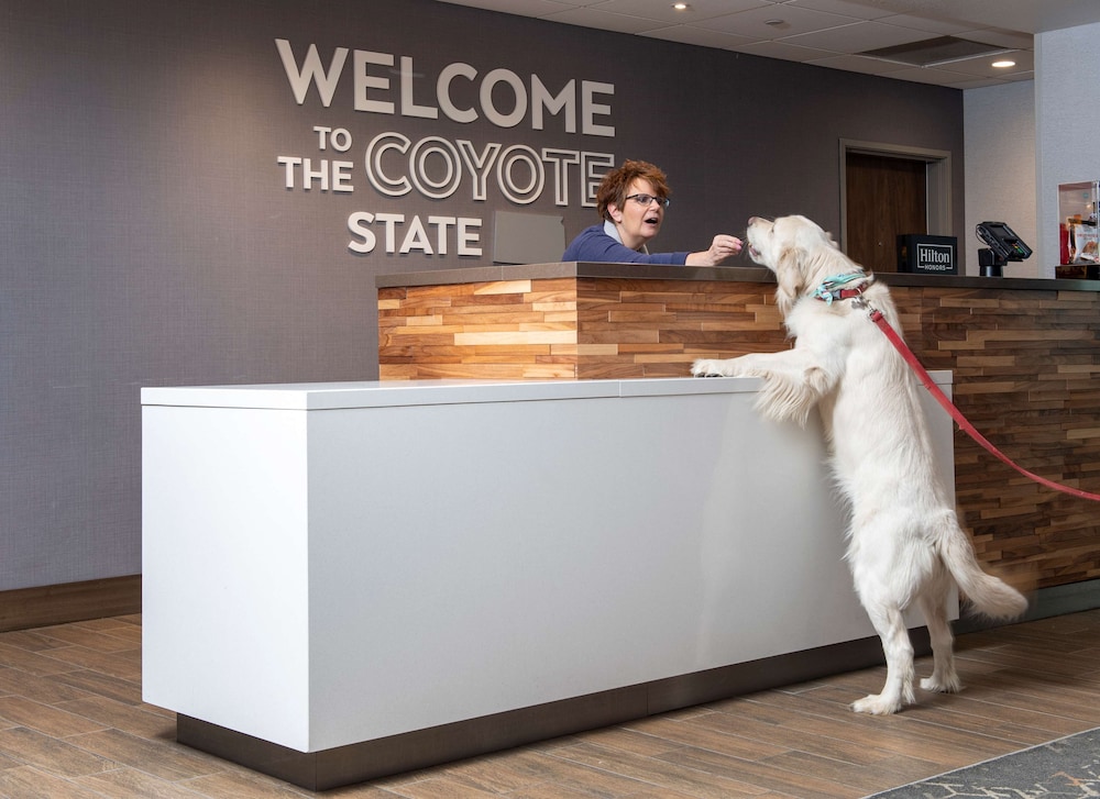 Hampton Inn & Suites Rapid City Rushmore - photo 6