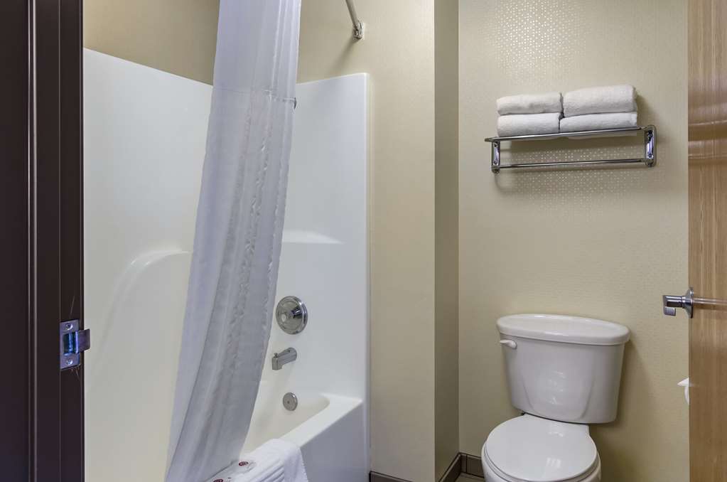 Comfort Inn Bozeman near University - photo 13