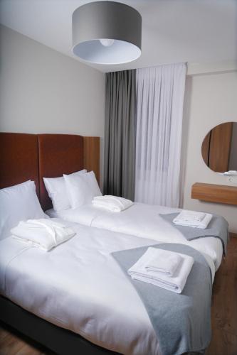 Eikon Apartments Abastumani
