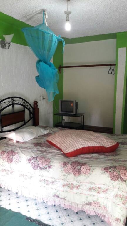 Marlin Guest Resort — Nakuru — photo 5