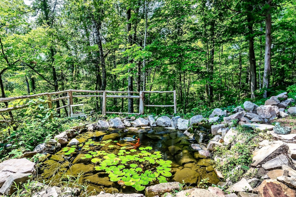 Laurel Valley Mountain Retreat - photo 214