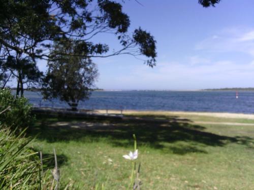Beachfront Seagulls On Shoalhaven — Shoalhaven Heads